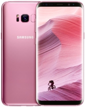 Samsung Galaxy S8 Plus DuoS 64Gb Pink (SM-G955F/DS)
